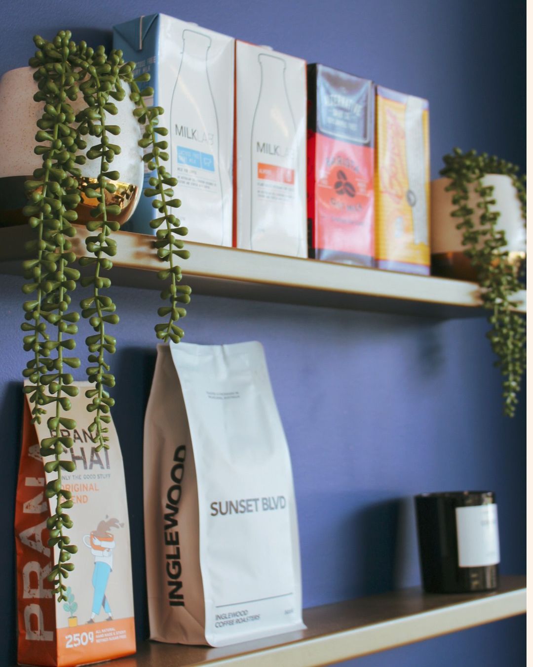 Retail shelves of coffee beans and chai against Drip Cafe's blue feature wall with trailing plants