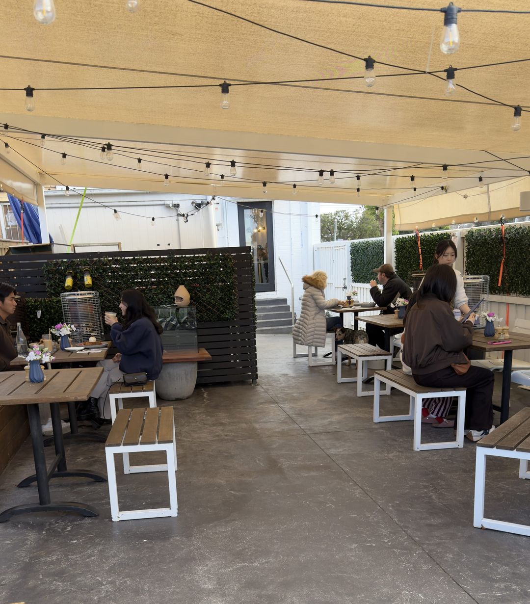 Drip Cafe's covered outdoor courtyard with timber tables, benches and string lights